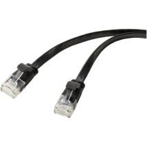 RF-5771530 RJ45 Câble réseau, câble patch cat 6 u/utp 0.50 m noir gaine en pvc 1 pc(s) C634832 - Renkforce