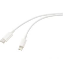 USB-Kabel usb 2.0 usb-c Stecker, Apple Lightning Stecker 3.00 m Weiß (frosted) RF-572408 - Renkforce