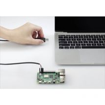 Usb/ttl Cavo Jumper Raspberry Pi [1x Spina a usb 2.0 - 4x presa jumper] 1.00 m Nero - Renkforce