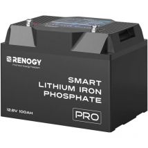 Renogy 12V 100Ah LiFePO4 Batterie – Mit 60-fach BMS-Schutz, Selbstheizung & 5000+ Zyklen – Für Marine & Off-Grid