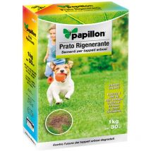 Papillon - Repeupler des graines d'herbe 1 kg.