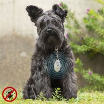 Répulsif Anti-nuisible à Ultrasons Rechargeables pour les Animaux de Compagnie PetRep Innovagoods