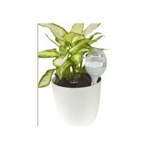 Reserve Decorative 70cl Blanc
