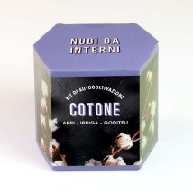Kit Autocoltivazione Cotone