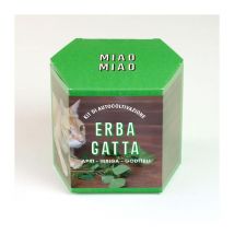 Kit autocoltivazione erba gatta, casa, idee regalo - Resetea