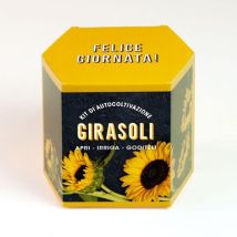 Kit Autocoltivazione Girasoli