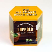 Kit di autocoltivazione Luppolo, per Gli Amanti della Birra - Resetea