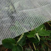 Rete Anti Gelo e Anti Cimice Anti strappo Permeabile Protegge colture piante orto da gelo e insetti, m 2x25