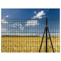 Retelandia - Rete metallica elettrosaldata antracite m 1,83x25