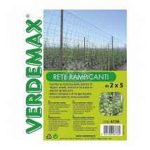 Rete Telo Rampicante per il Giardino m2x5 maglia cm 20x20 Verdemax