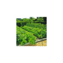 Rete da canottaggio 2 x 10 triglia Nortene