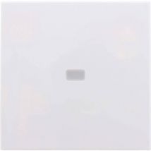 REV Cache Interrupteur avec témoin lumineux Studio blanc 0208430106 1 pc(s)