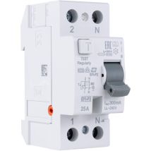 Rev Ritter - 0505490555 - Interruttore Differenziale A 2 Poli (rcd), 25 A, 0,30 A