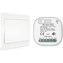 Kcvv - RF433 and WiFi Light Switch with Wireless Remote Control, No Battery, No Wiring and No Hub Required, Compatible with Alexa Google Home Tuya