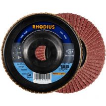 Rhodius Abrasives - rhodius lsa P1, 10 Stück, 125 mm, Korn 60, Fächerschleifscheibe