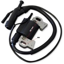 Bobina d'accensione di ricambio per motore a benzina 6,5 cv – 198 ccm Pezzo di ricambio