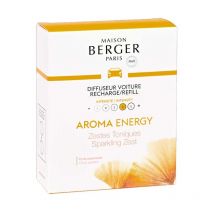 Lampe Berger ricarica diffusore per auto 2PZ aroma energy accessori profumo ambienti