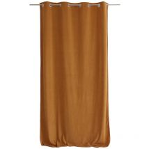 Rideau velours câlin 100% Polyester - 140x260cm - café