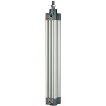 Riegler Normzylinder, doppeltwirkend, Magnet, Kolben-Ø 40, Hub 600, G 1/4