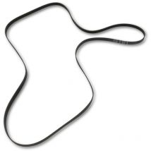 Ersatzteil - Riemen 1920H8 - - indesit, sauter, ariston hotpoint