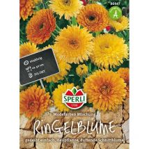 Ringelblumen Modefarben Mischung - Blumensamen - Sperli