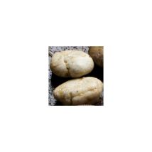 Pietre di Fiume Bianche 20-40mm – Decorativo – Ideali per vasi, terrari e acquari – Colore: Bianco