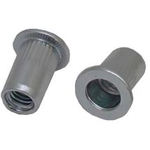 Rivet Acier Gris longueur 21.5mm diamètre 10.9mm M8 ( Prix pour Sachet de 50 )