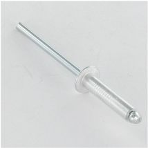 Rivet aveugle Aluminium Tige acier '4F' 6X18 Tête plate ALX-100 pièces