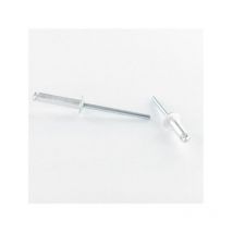 Vis Express - Rivet Inox A2 3X10 Tête Plate-500 pièces