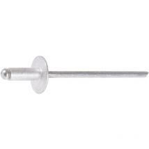 Rivet tête large - diamètre 4,8 mm - 16 mm - Boîte de 250 Rifix