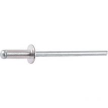 Rivet tête large - diamètre 4 mm - 8 mm - Boîte de 500 Rifix