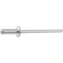 Rivet tête large - diamètre 4,8 mm - 14 mm - Boîte de 500 Rifix