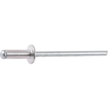 Rivet al/ac 4x20 tp /500
