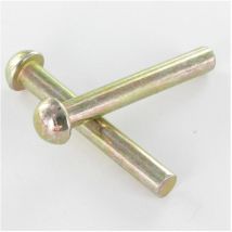 Rivet à frapper Tête ronde TR 3.5X11.5 Bichromaté-200 pièces