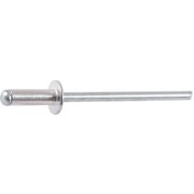 Riveten Aveu.ag5 Tp 4,8x14 / 500