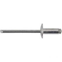 Rivetti a strappo in alluminio-acciaio 1000 pezzi Sacto 4.8 10