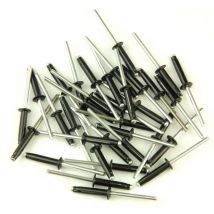 Rivetti trigrip nero 4,8 x 22 per piastra minerale