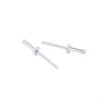 Rivetto Alluminio Mm.3.4X11