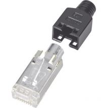Hirose Electronic - Connectique RJ45, blindé CAT5 tm 11 RJ45 mâle, droit Pôle: 8P8C noir 1 pc(s) R43663