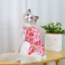 Robe de chat - Cat Recovery Cotton Cotton Recovery Wrap Respirant(Litchi rouge m (longueur dos 30cm))