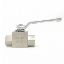 Tophomer - Robinet à boisseau sphérique de coupure hydraulique G1/2=4' bsp DN15 304 en acier inoxydable, Q11F320P