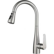 Jn.songs - Robinet Cuisine Mitigeur Cuisine Douchette avec PoMMe Extractible 2 Modes - Chrome