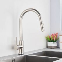 Rosmmel - Robinet de cuisine avec douche amovible avec le fournisseur multifonctionnel nickel brossé