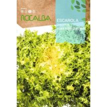 Rocalba – Graines de potager – Période de plantation / semis