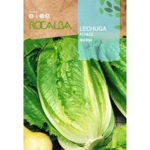 Rocalba – Graines de potager – Période de plantation / semis