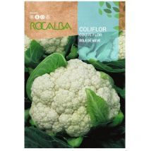 Caciflor snow ball 3G - Rocalba