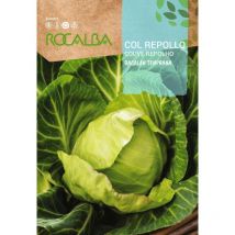 Col asprolan early bacalan 8G - Rocalba