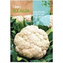 Coliflor frankfurter riesen 3g x 5 sobres - Rocalba