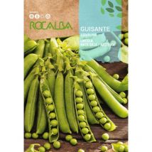 Guisante lincoln 70g x 5 sobres - Rocalba