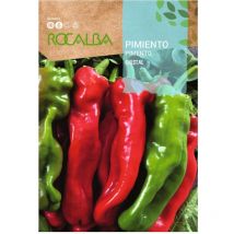 Seed 500G Kristallpfeffer - Rocalba